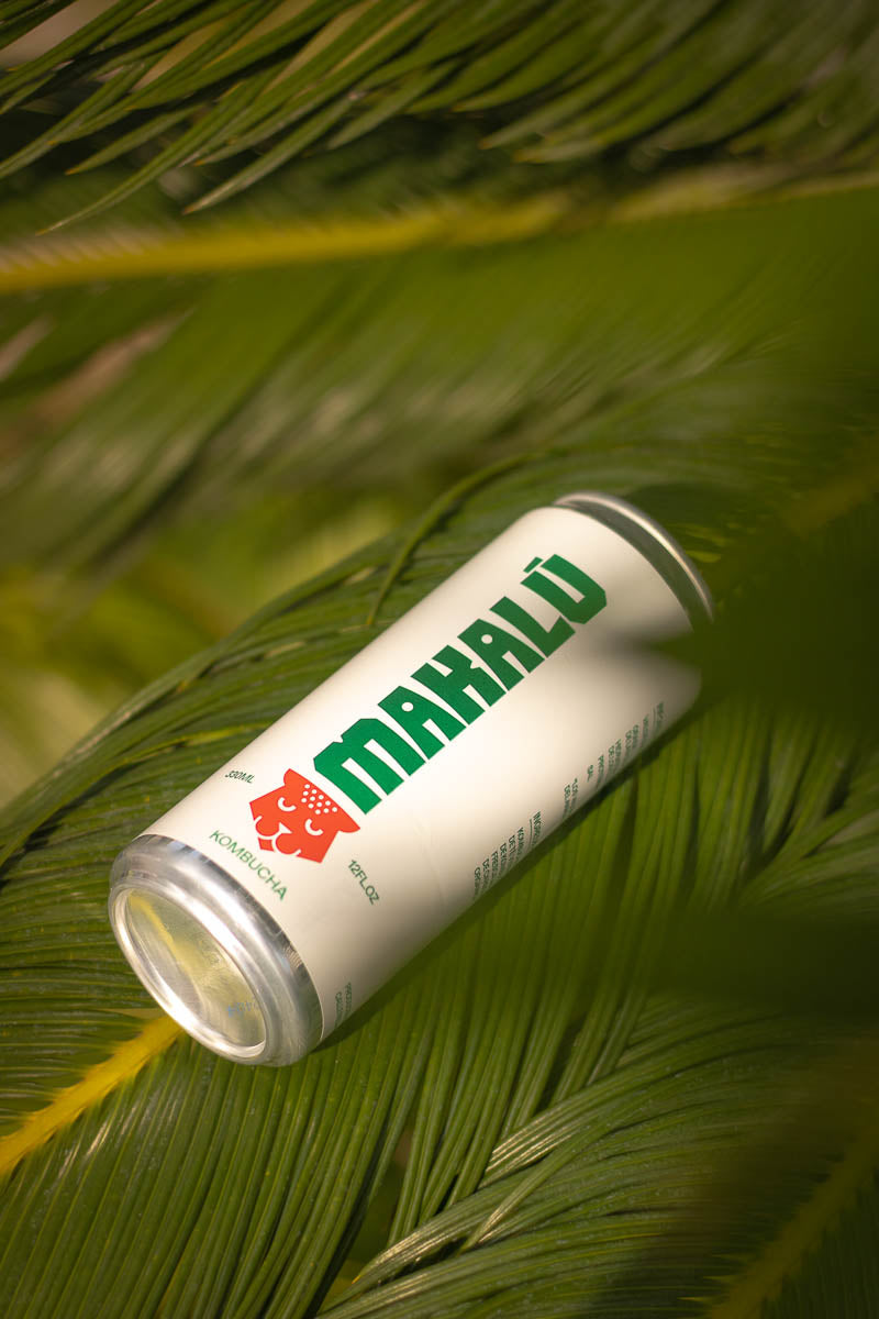 natural-kombucha